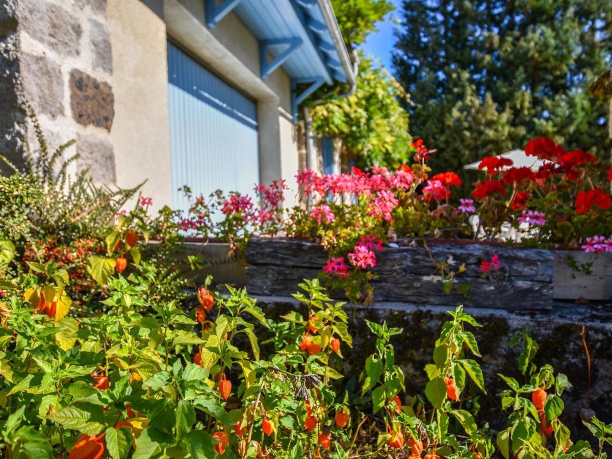 Beautiful Villa In The Parc Des Volcans D Auvergne Vic-sur-Cère Exterior foto